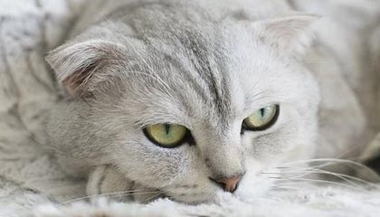 美国原油期货收涨超5.6%