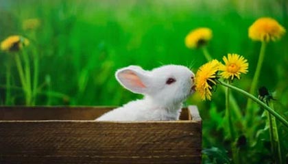 南京瑞路通达取得双管段自动切换高精度井口原油含水分析仪专利，避免挂蜡现象的产生