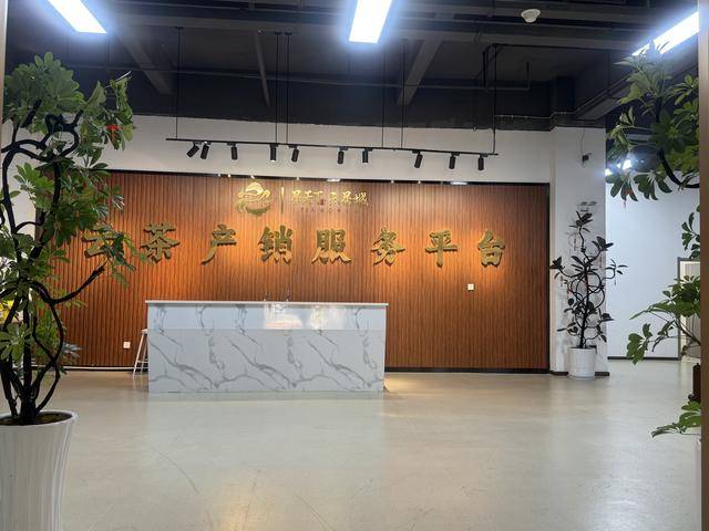 “云茶产销服务平台”启动 买卖云茶将更放心