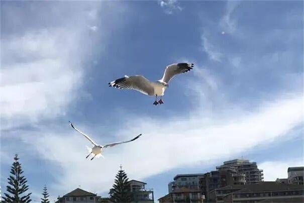 金价频创历史新高黄金股走势强劲 澳交所黄金股IPO受热捧 女富豪莱因哈特大幅押注稀土股 投资价值迅速飙升