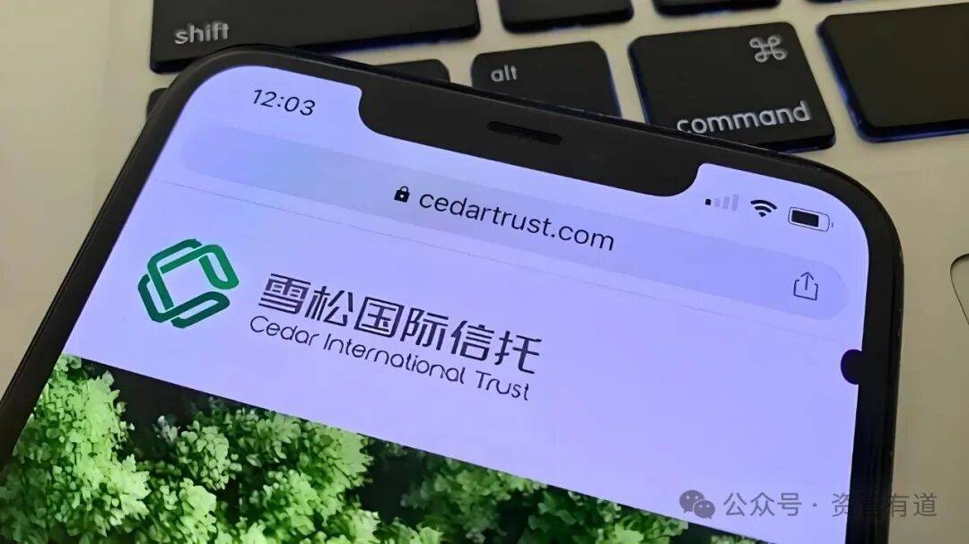 离谱!雪松信托净值跌到负数!像原油宝、上银基金子这样的案例早该警惕