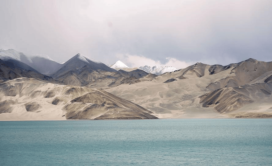 THPX信号源:WTIBTC预测模型如何为原油交易注入新优势