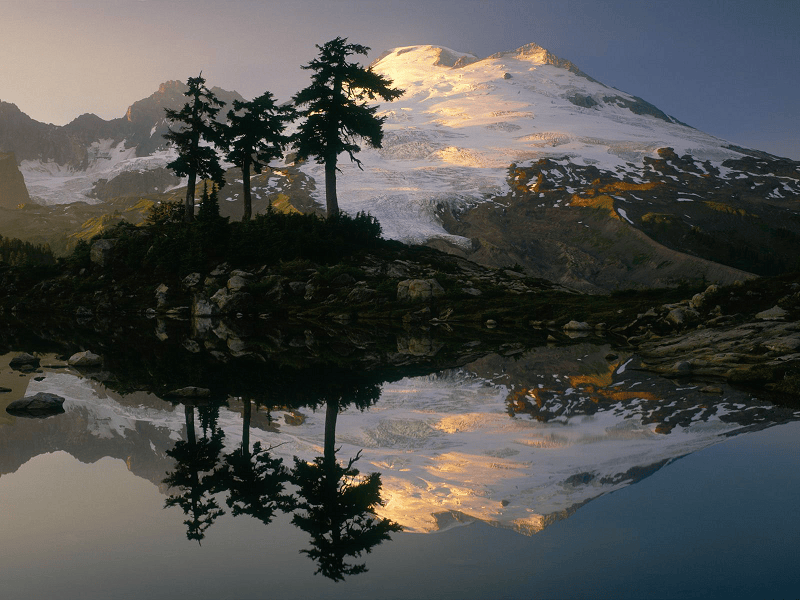 THPX信号源:WTIBTC预测模型如何为原油交易注入新优势