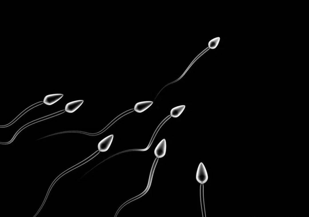 男性精子质量太差怎么办？多吃点这些食物，也许有得救！