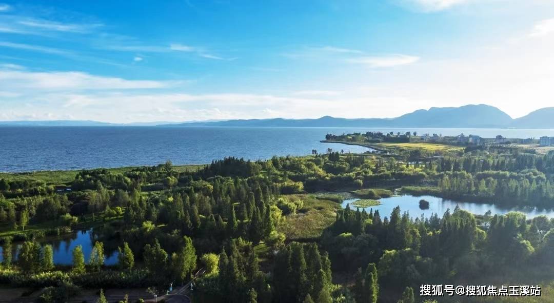 昆明【万科都会半岛】配套学校｜最新价格走势｜户型图_楼盘详情！