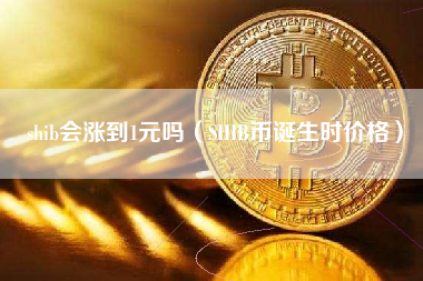 shib币三年会涨吗(shib币未来二年价格)