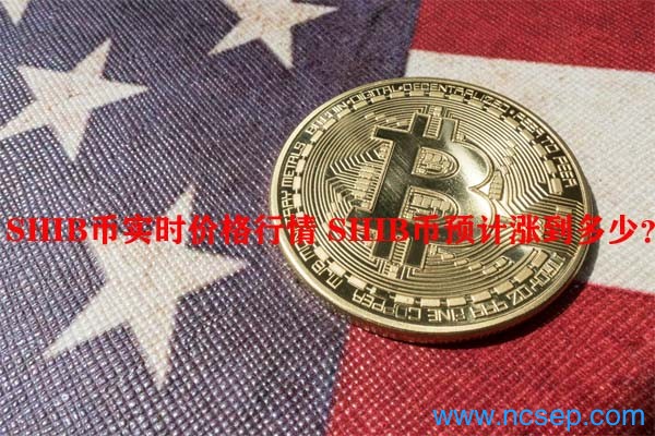 shib币最新消息10.7(shib币最新消息2023年九月21日)