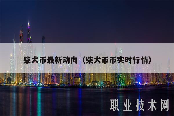 shib持币前十地址(shib币持币地址数量)