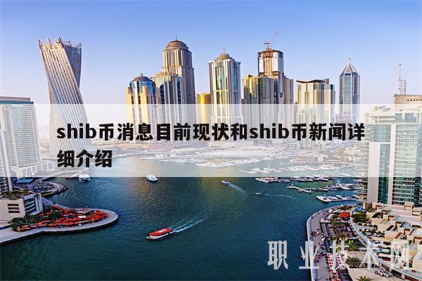 shib币是哪里发行的(shib币什么时间上市的)