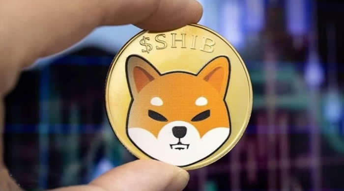 shib柴犬币市值(shib柴犬币发行价)