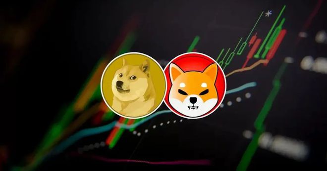 关于shib会不会走狗狗币得路的信息
