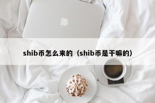 shib是什币吗(shiba inu是什么币)